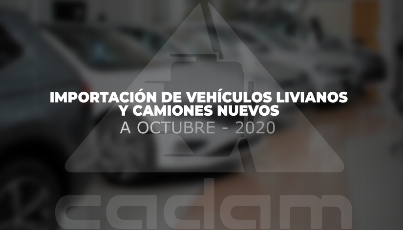 Octubre concluyó con 19.000 vehículos livianos y camiones nuevos importados